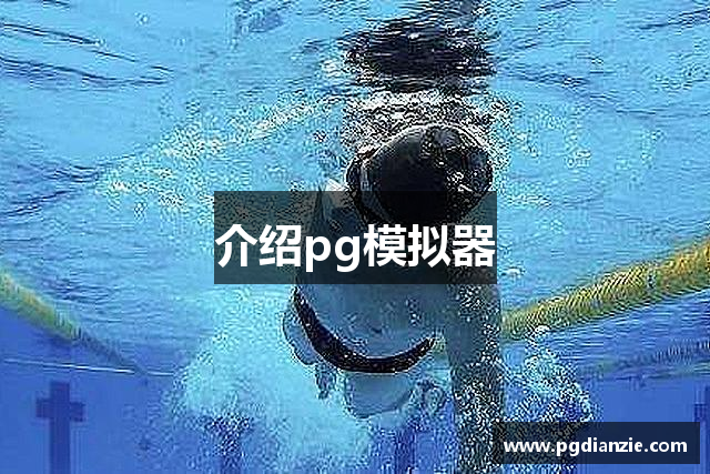 介绍pg模拟器